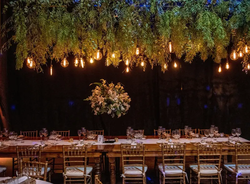 Salón armado con plantas colgantes y guirnaldas de luces
