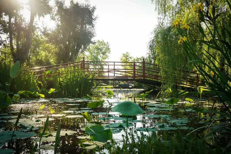 El puente rojo sobre el lago con nenúfares