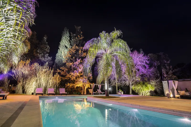 La pileta iluminada de noche con palmeras
